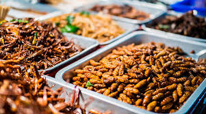 ¿Por qué los insectos comestibles son buenos para el ser humano?