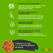 Mosca Soldado Negro Deshidratada