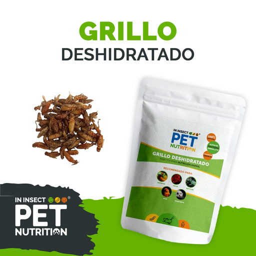 Tenebrio | Mosca Soldado Negro | Grillos Deshidratado para Reptiles, Aves y Mascotas Exóticas