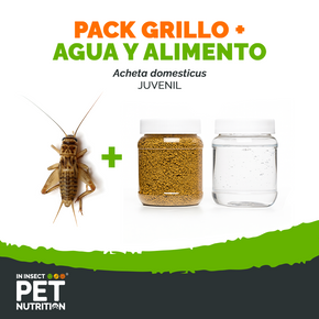Pack grillos vivos + alimento + agua para Reptiles, Aves y Mascotas Exóticas