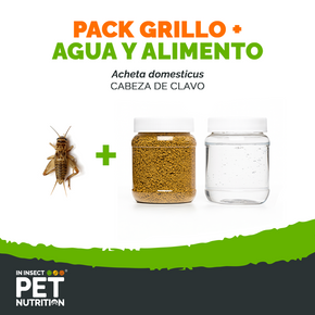 Pack grillos vivos + alimento + agua para Reptiles, Aves y Mascotas Exóticas