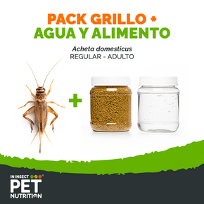 Pack grillos vivos + alimento + agua para Reptiles, Aves y Mascotas Exóticas