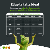 Pack 50 tenebrios + grillos vivos | alimento para reptiles y mascotas exóticas